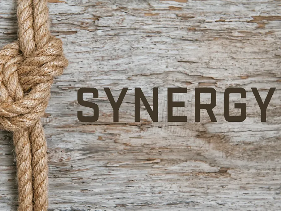 synergytweb.webp